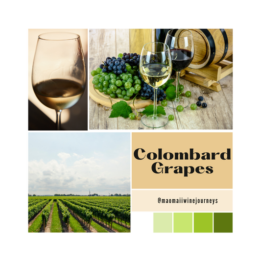 The Rise of Colombard Grapes in Thailand's Wine Industry